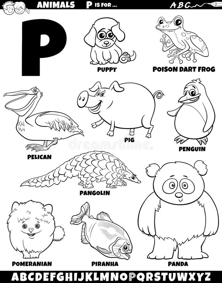 Piranha coloring page stock illustrations â piranha coloring page stock illustrations vectors clipart