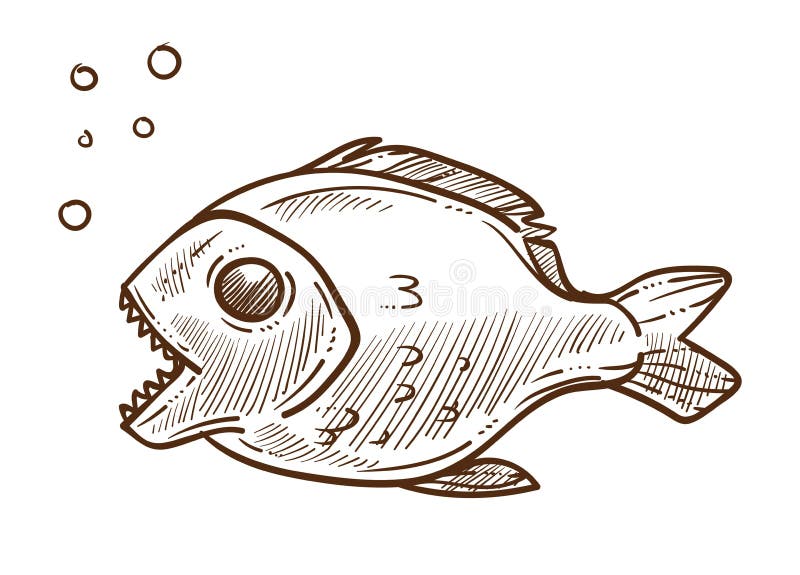 Sketch piranha stock illustrations â sketch piranha stock illustrations vectors clipart