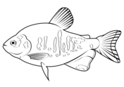 Piranhas coloring pages free coloring pages