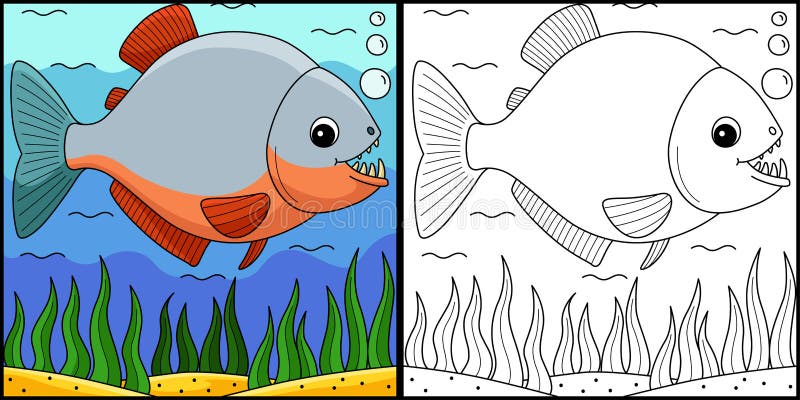 Piranha coloring page stock illustrations â piranha coloring page stock illustrations vectors clipart