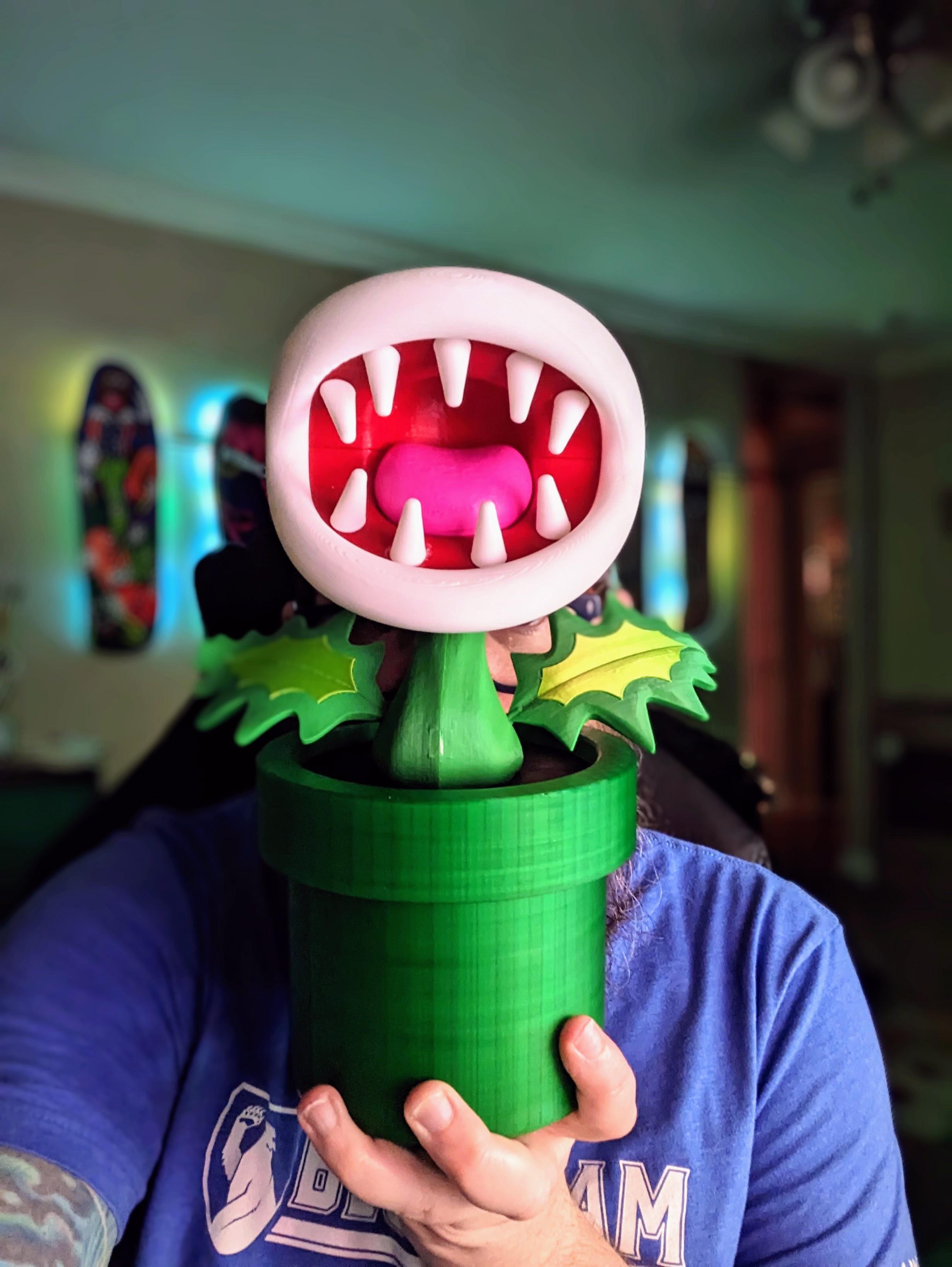Super mario piranha plant rbambulab