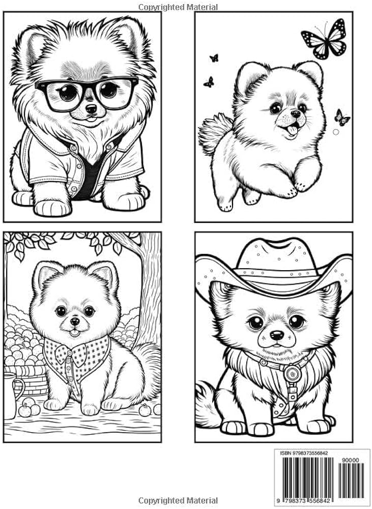 Pomeranian coloring book fun and easy dogs coloring pages in cute style with pomeranian for kids adults dogs coloring books for kids adults sommer alura books