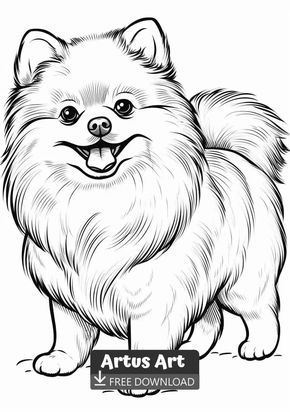Pomeranian coloring page for kids free download artus art animal coloring pages dog coloring page animal drawings