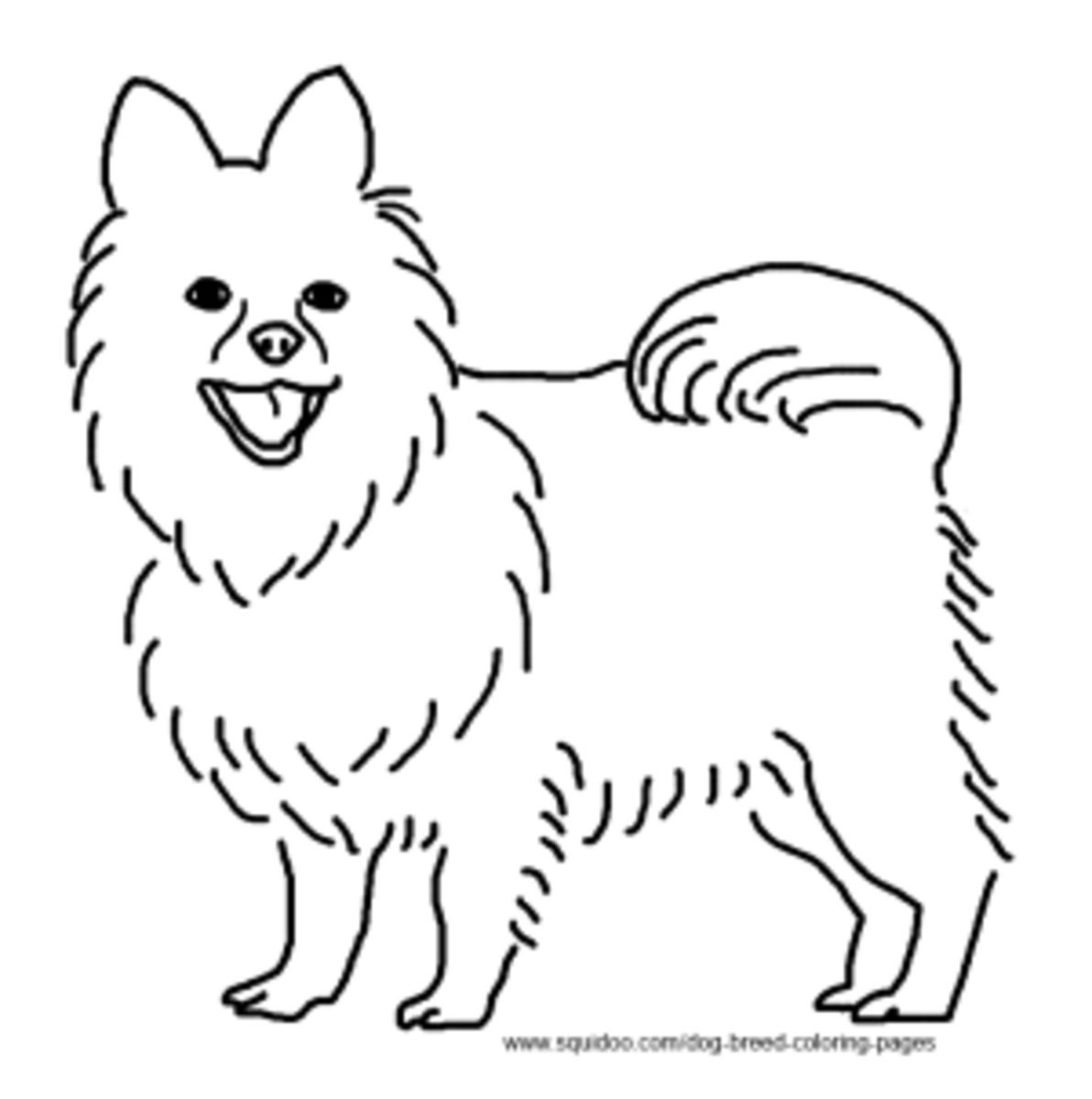 Dog breed coloring pages