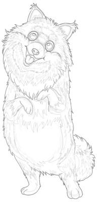 Pomeranian dog coloring page