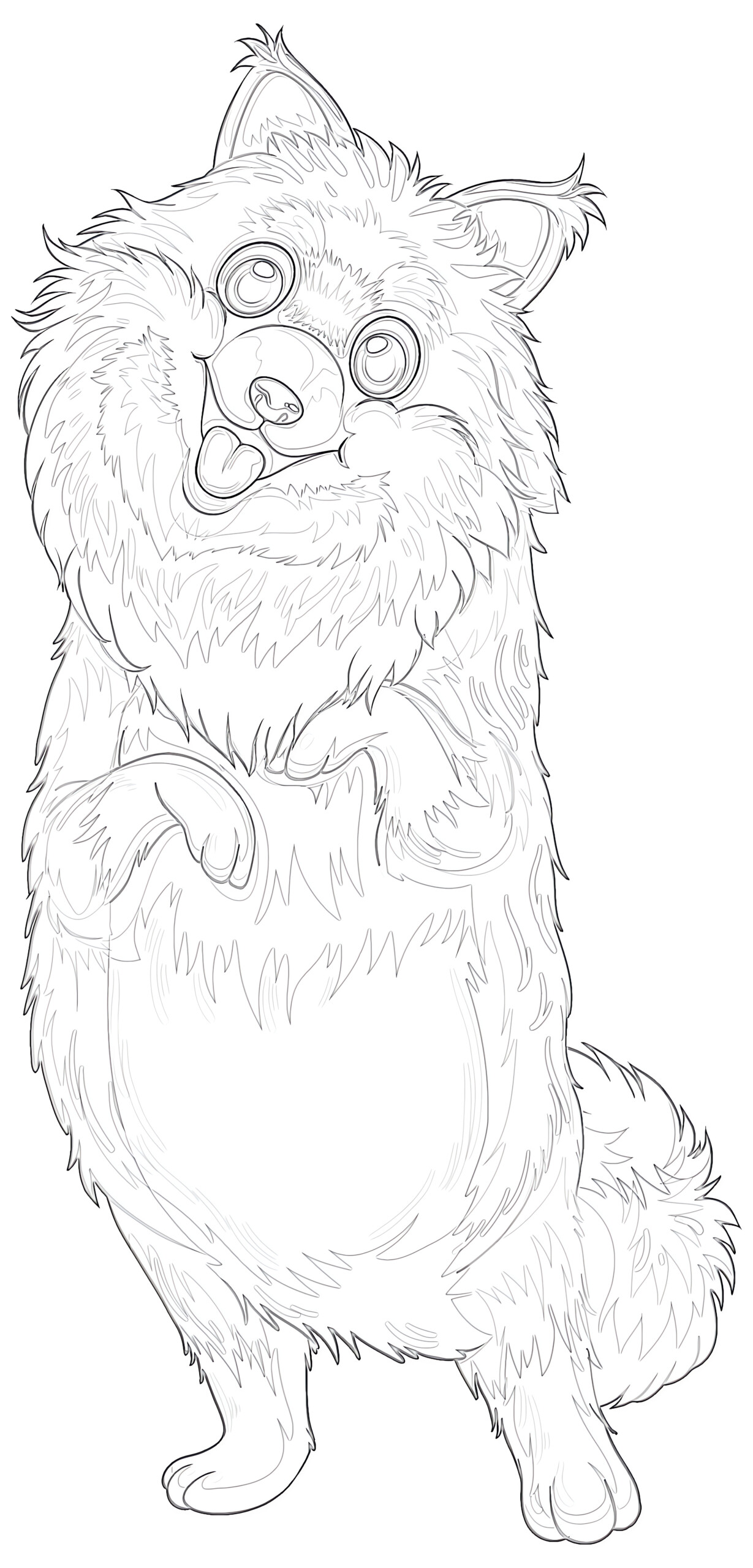Pomeranian dog coloring page