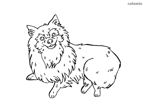 Animals coloring pages free printable animals coloring sheets