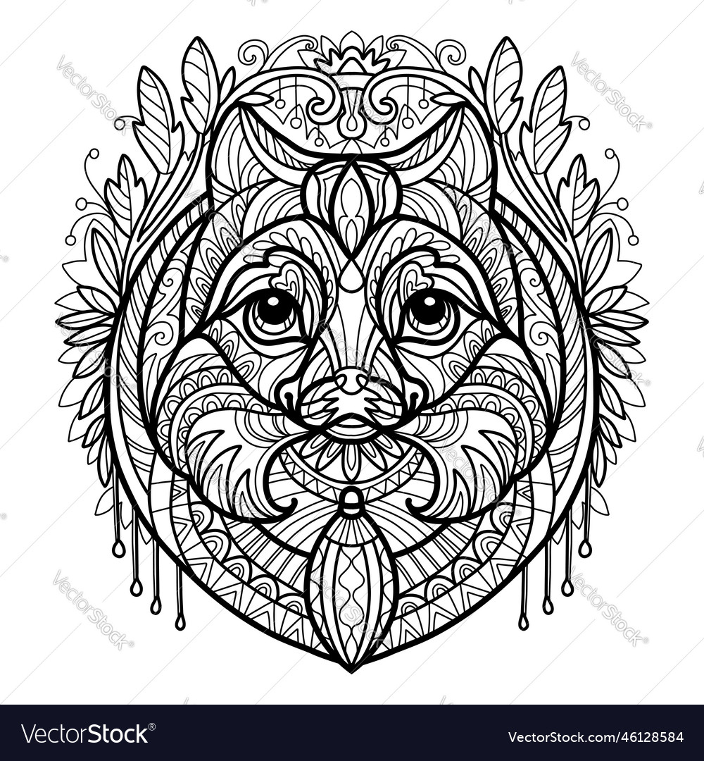 Coloring book page pomeranian dog royalty free vector image