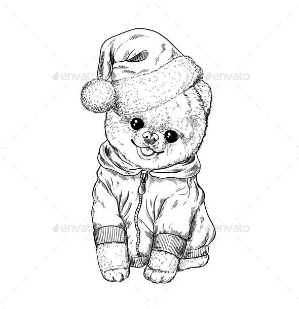Pomeranian toy dig dressed in hoodie and santa hat vectors