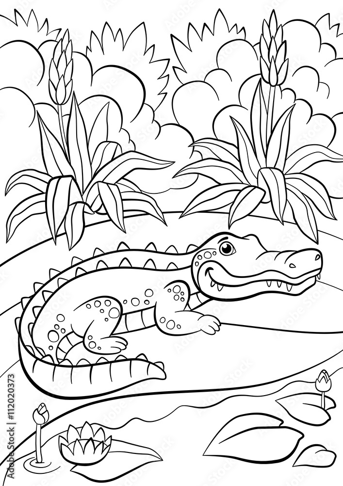 Coloring pages animals little cute alligator sits near the pond vector