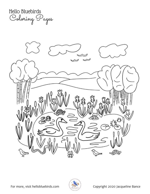Peaceful pond original coloring page pdf download by jacqueline bance of hello bluebirds instant download