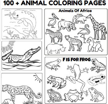 Animal coloring pages zoo farm birds reptiles bugs pond ocean artic