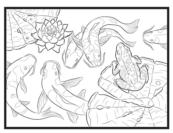 Koi and frog single coloring page