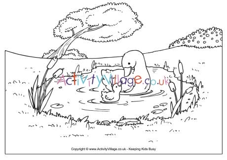 Duck pond louring page