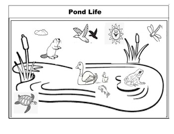 Pond life
