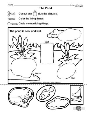 The mailbox pond life and ponds on pond life theme pond animals preschool science activities