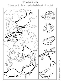 Pond animals preschool kindergarten st grade worksheet activity pond life