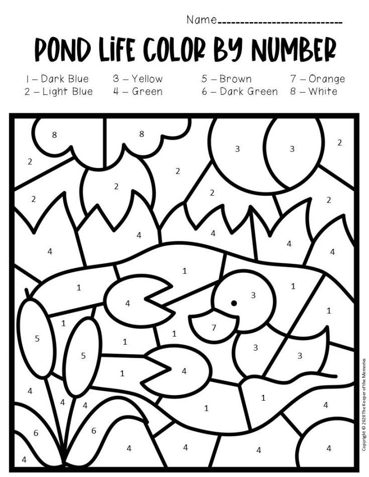 Color by number pond preschool worksheets preschool worksheets preschool pond crafts