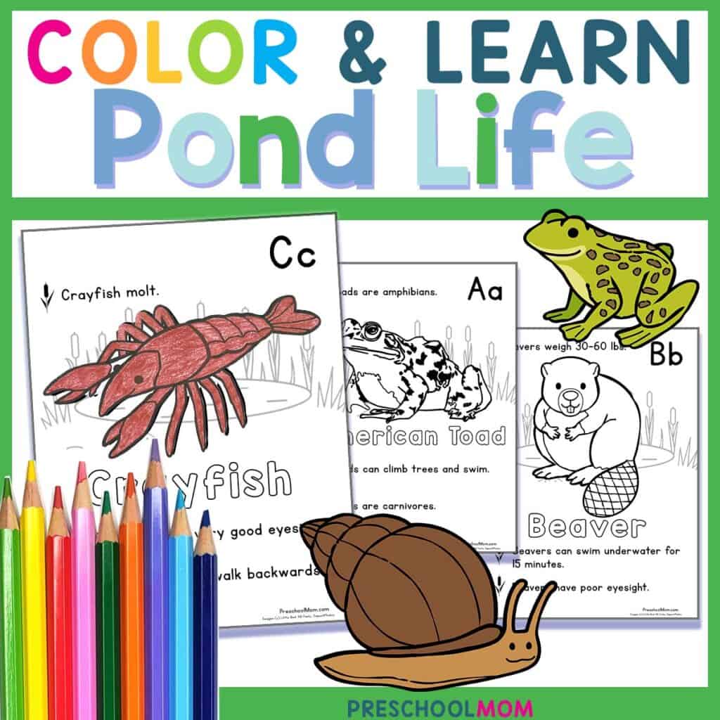 Pond animal coloring pages