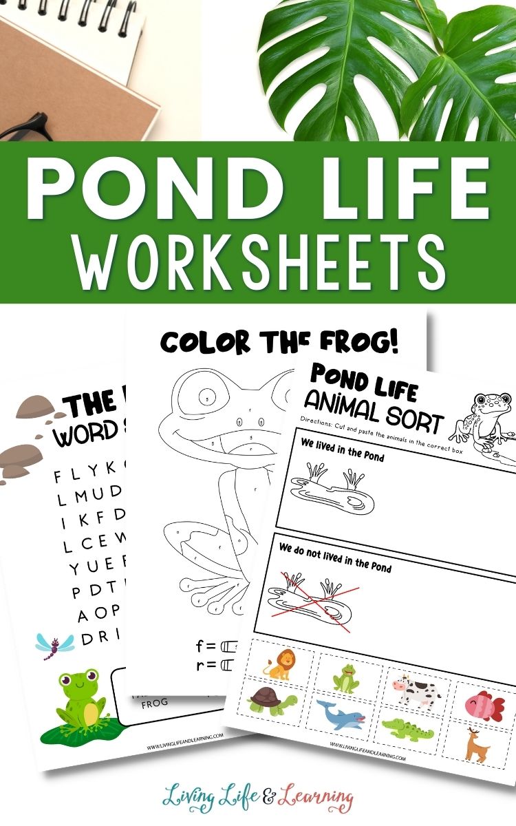 Pond life worksheets