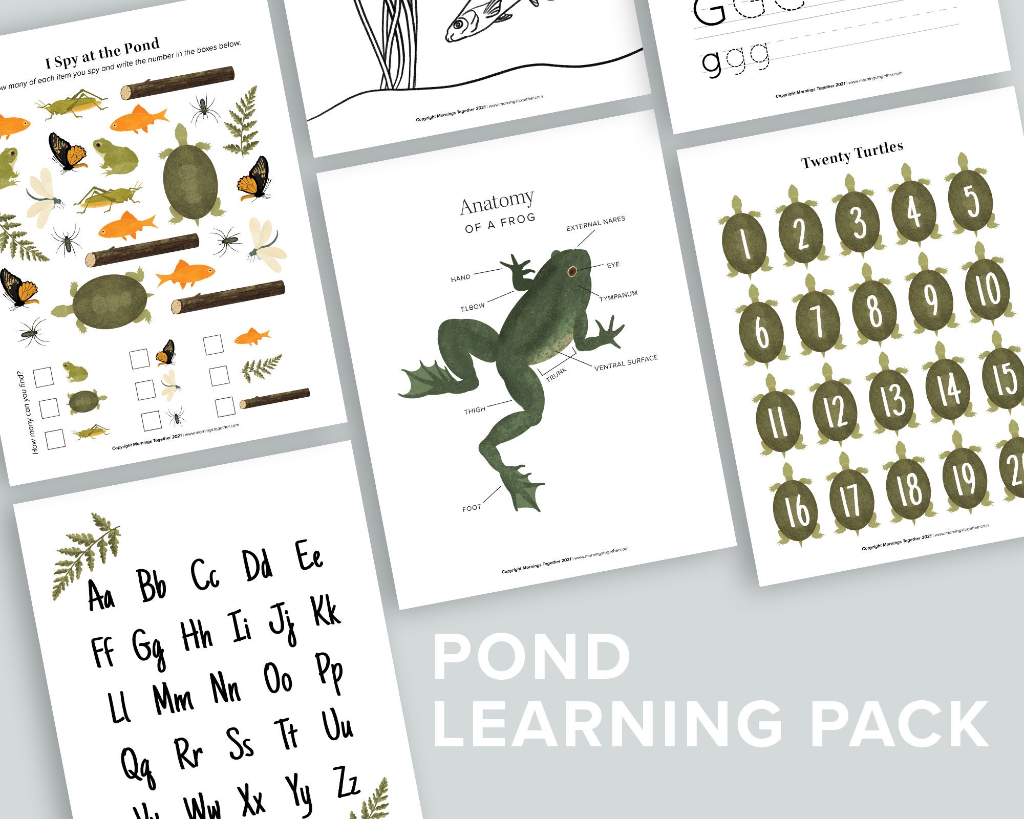 Pond learning pack pond life homeschool printables frog snail coloring nature preschool counting activities fish i spy