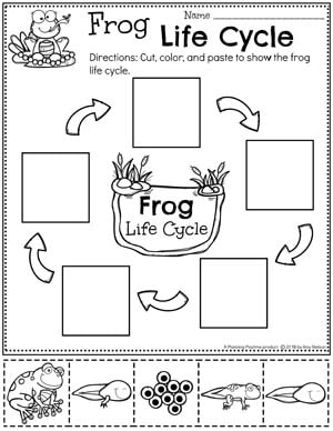 Pond theme preschool