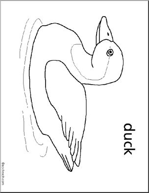 Ponds page of
