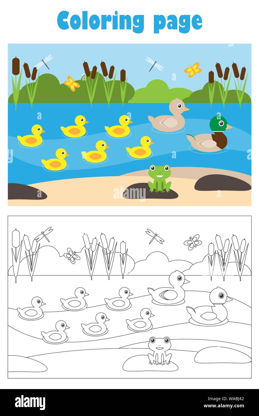 Pond with ducks cartoon style coloring page education paper game for the development of children kids preschool activity printable worksheet stock vector image art