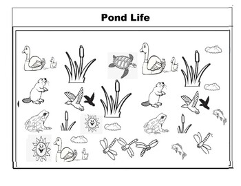 Pond life