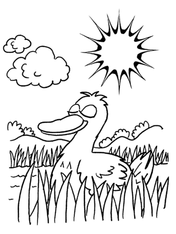 Duck in a pond coloring page free printable coloring pages