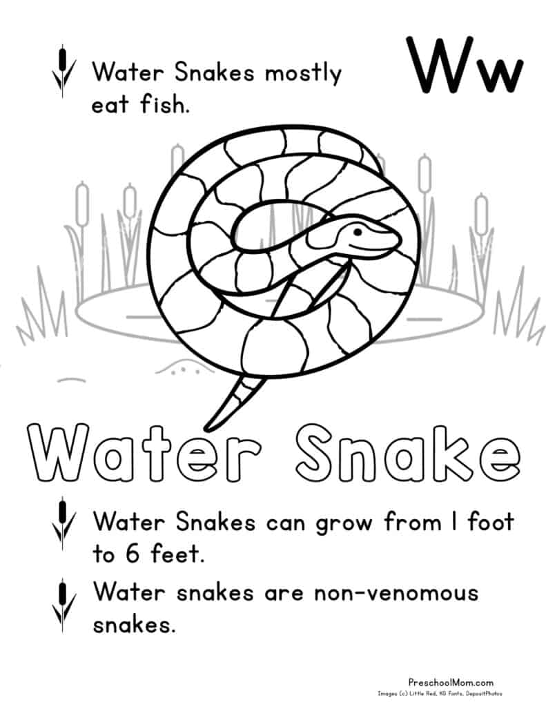 Pond animal coloring pages