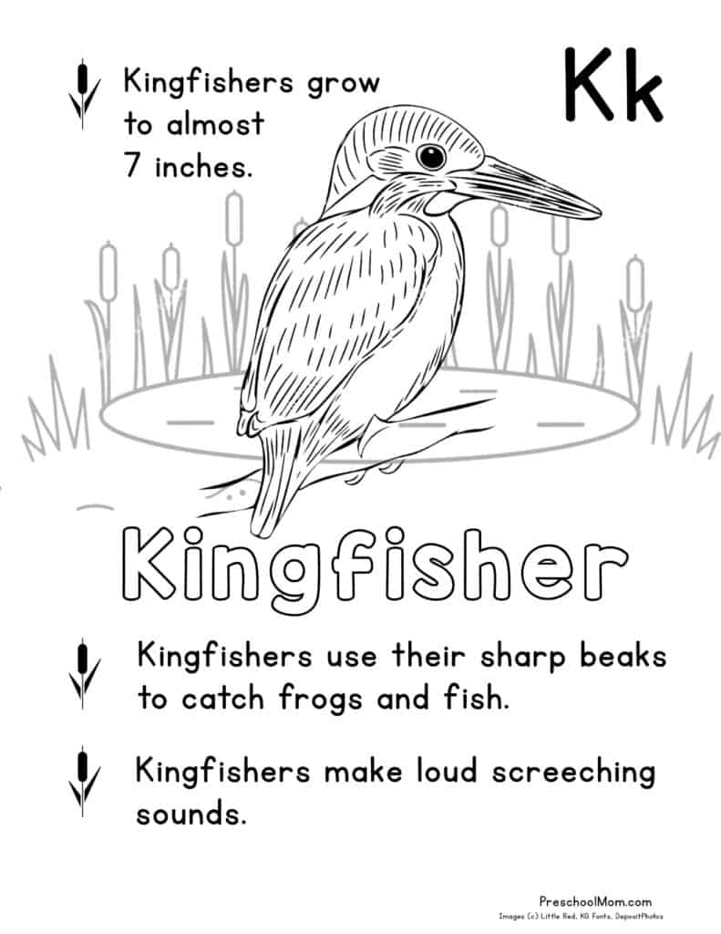 Pond animal coloring pages