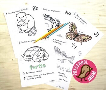 Pond life coloring and science printables by preschool mom tpt