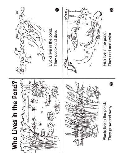 Who lives in the pond minibook worksheets printables scholastic parents pond life mini books pond crafts