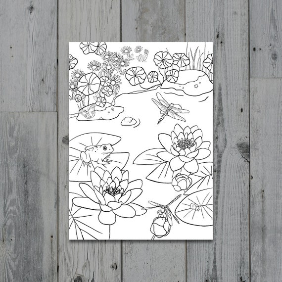 Pond printable colouring sheet digital download colouring pages all ages nature coloring page