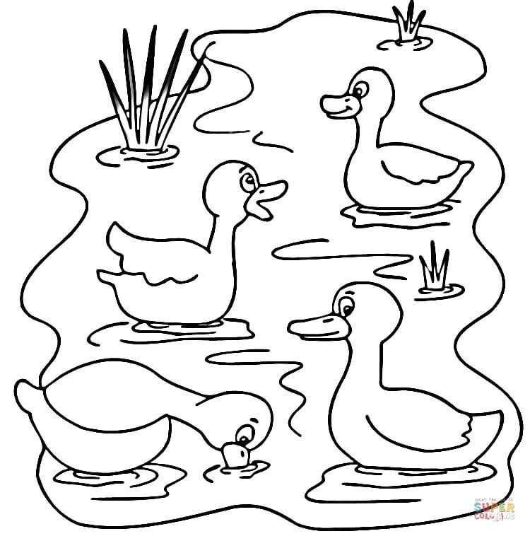 Pond animals coloring page free printable coloring pages