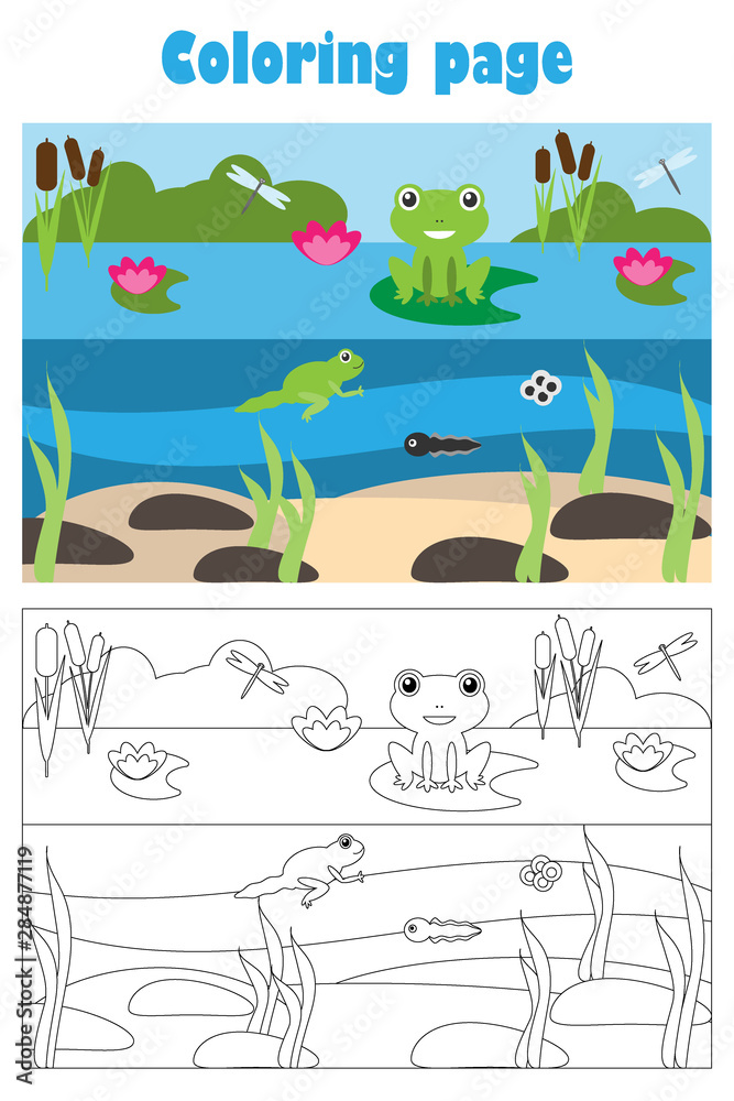 Pond with frog cartoon style coloring page education paper game for the development of children kids preschool activity printable worksheet vector illustration vector