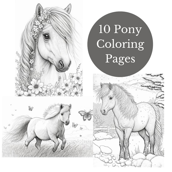 Pony coloring pages pdf download high quality realistic shetland ponies grayscale coloring diy printable horses and ponies