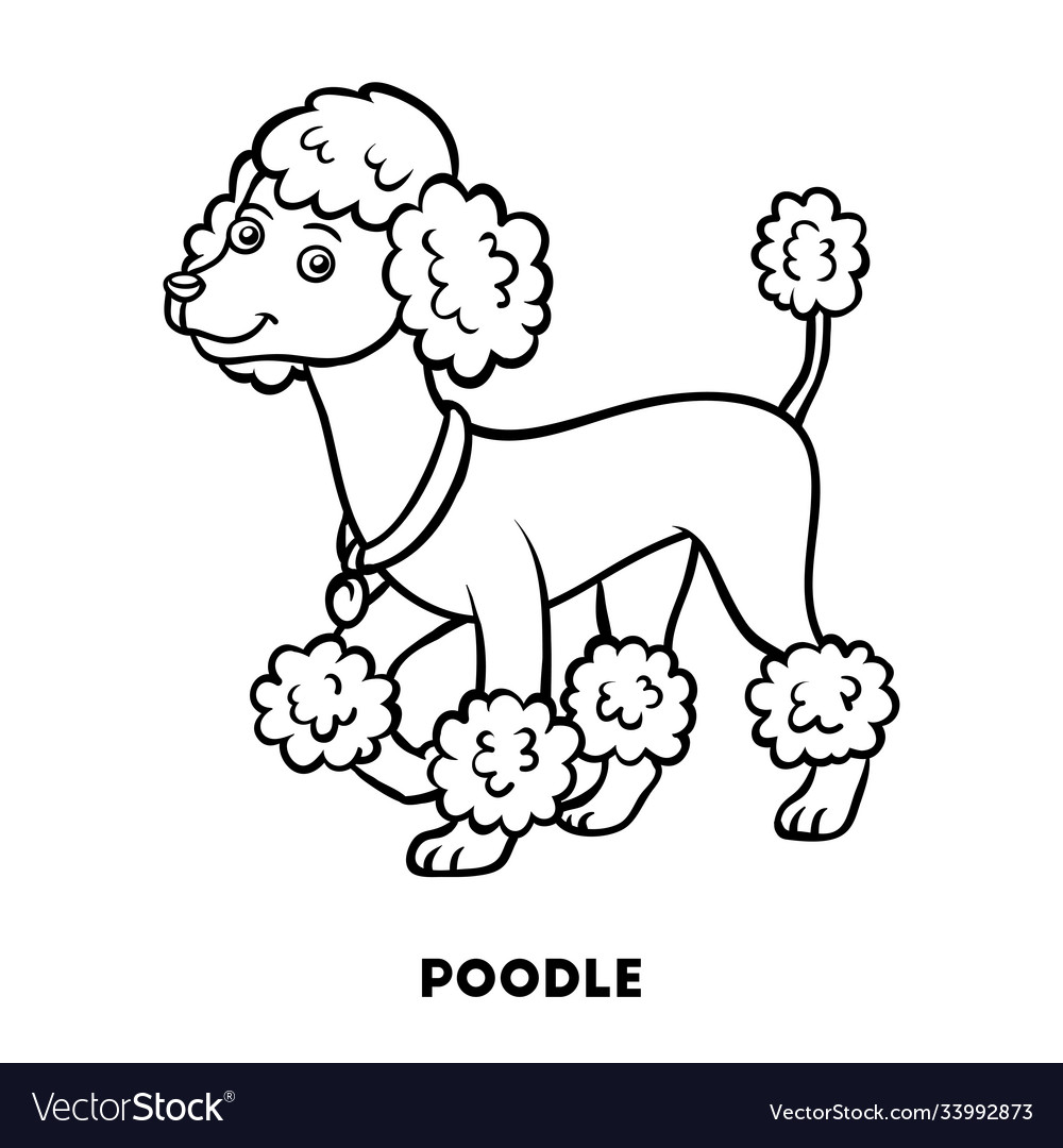 Coloring book dog breeds poodle royalty free vector image