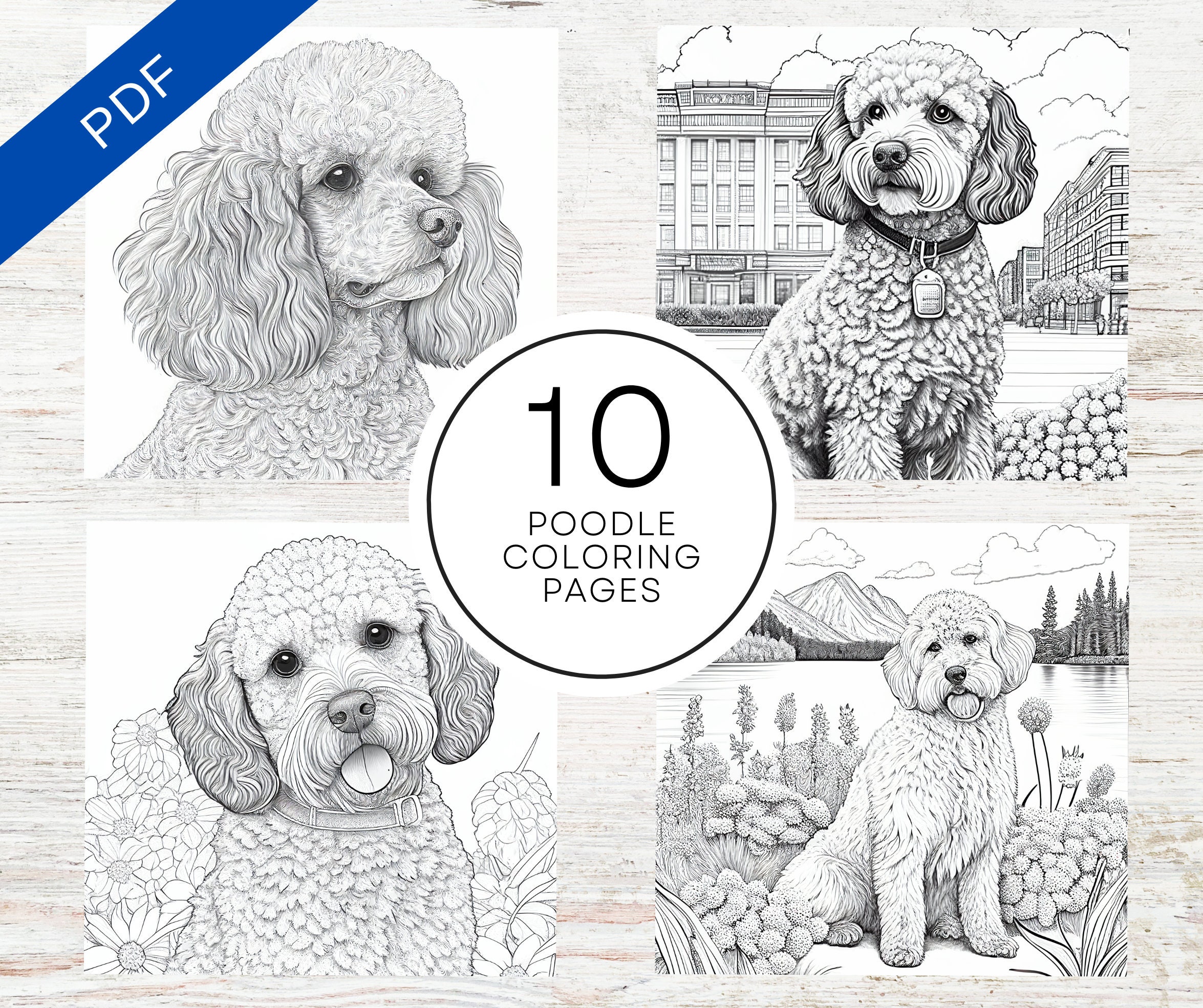 Poodle dogs coloring pages a printable pdf dog coloring sheets for teens adults stress relief sheets