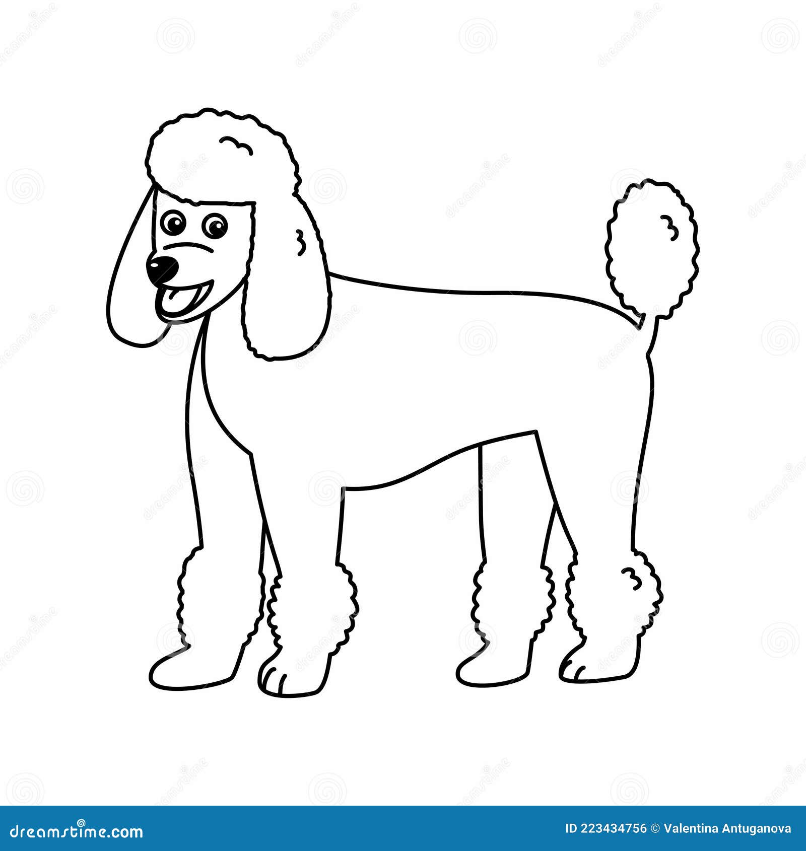Poodle dog colouring page outline vector illustration stock vector