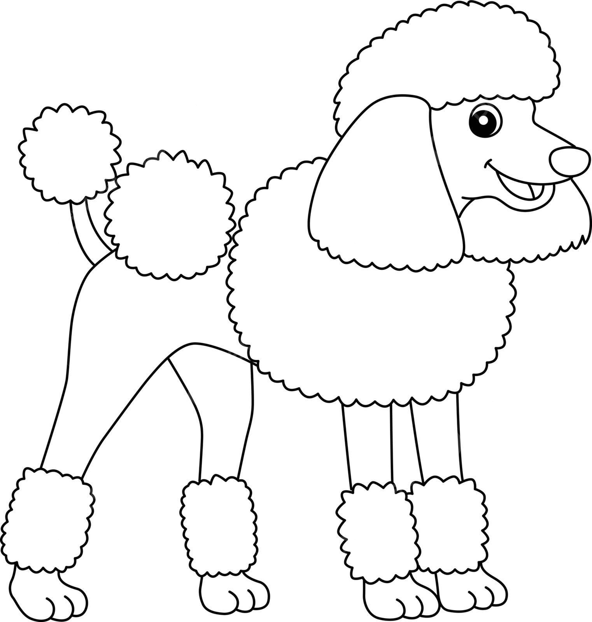 Poodle dog isolated coloring page for kids dog coloring pet vector dog coloring pet png and vector with transparent background for free download