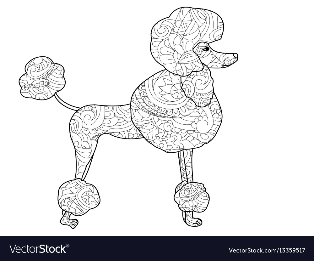 Poodle dog coloring for adults royalty free vector image