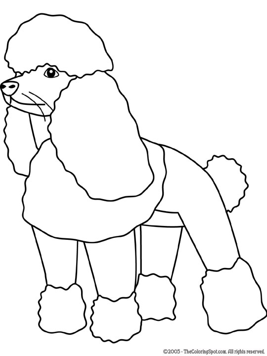 Poodle coloring page audio stories for kids free coloring pages colouring printables