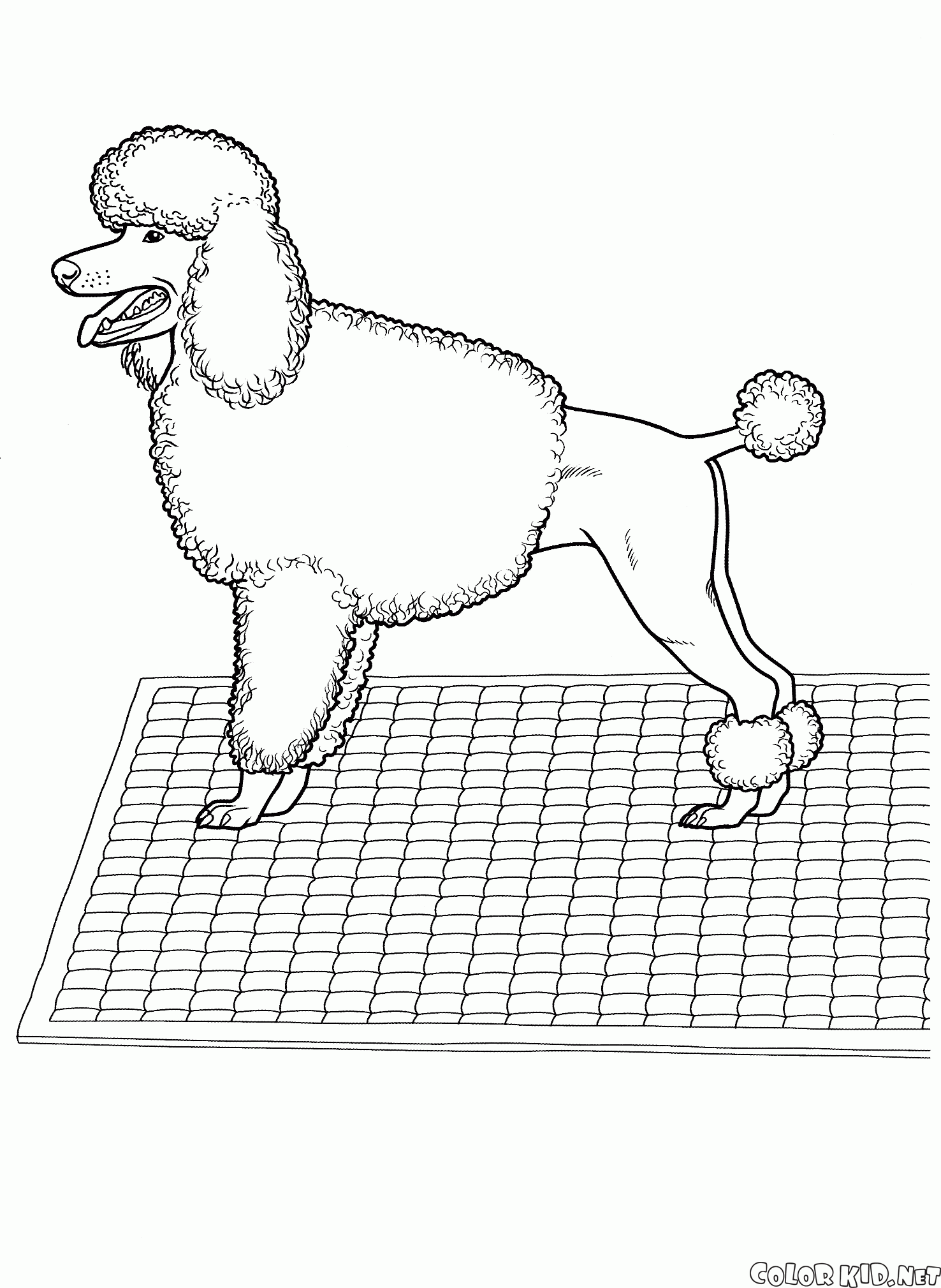 Coloring page