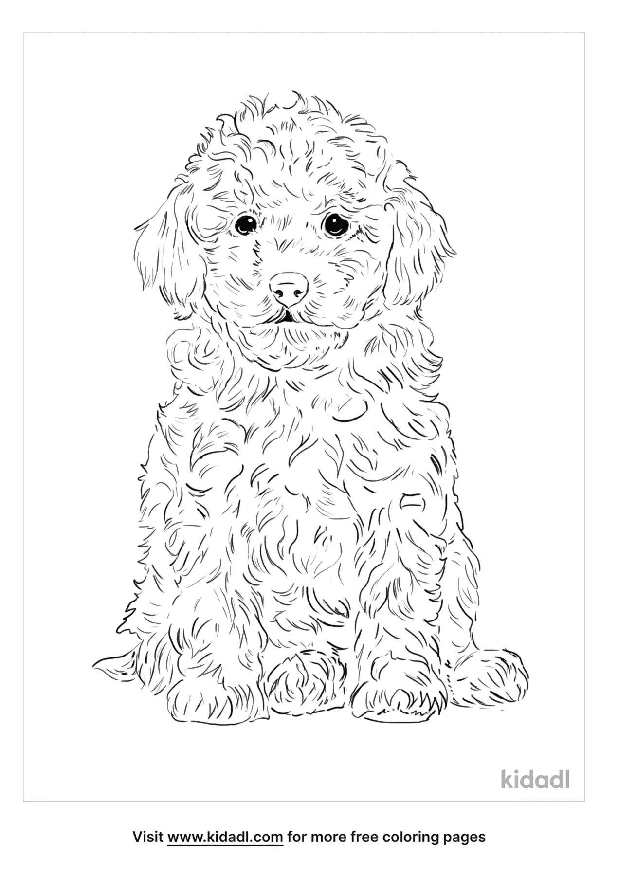 Free miniature poodle coloring page coloring page printables