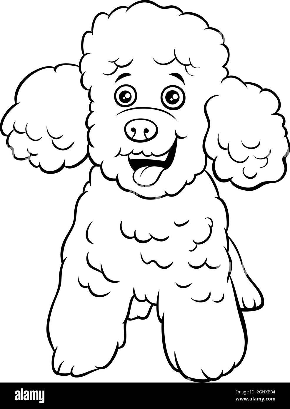Poodle toy dog cartoon animal character coloring book page stock vector image art