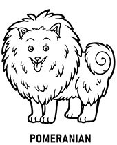 Dog poodle coloring page sheet