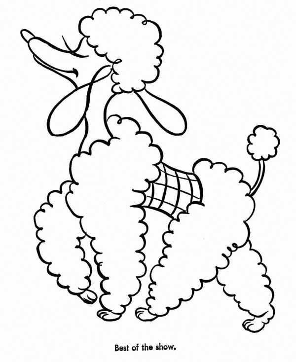 Poodle coloring pages
