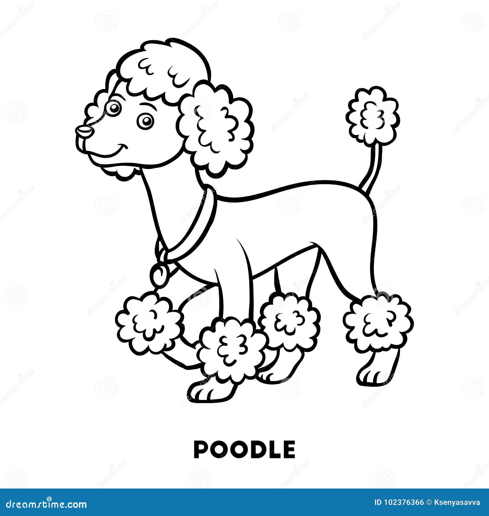 Coloring page poodle dog stock illustrations â coloring page poodle dog stock illustrations vectors clipart